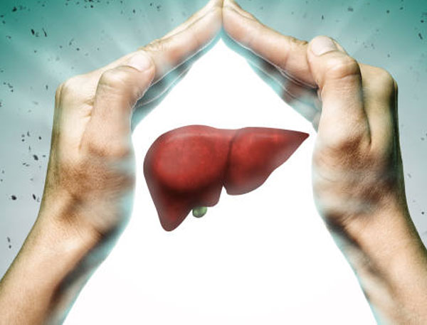 Common Liver Diseases