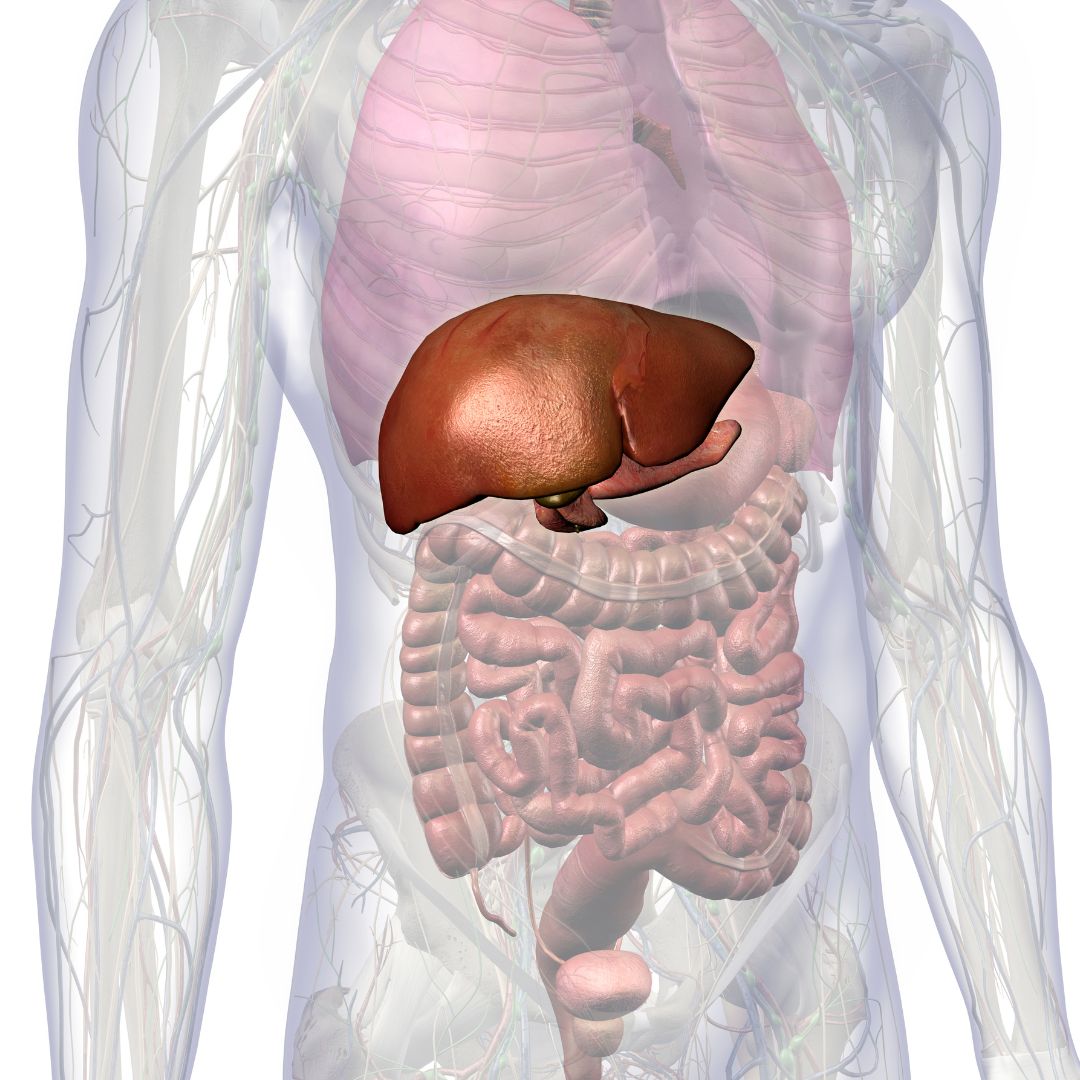 What is liver cancer